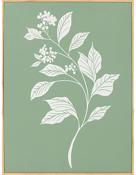 Набор постеров "Гербарий" 2 шт., рама пластиковая, 40,6x30,6x3