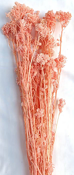 Сухоцвет "Рисовый цветок (Диосми)", длина 60-70 см, 3-5 веток/упак., 80 гр, выбеленн.нежно-розовый