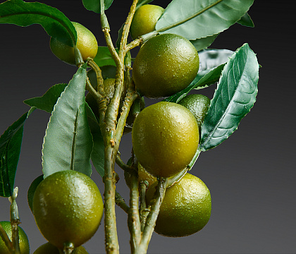 Ветка декоративная с плодами Лимона и листьями (плоды D4-6 шт, плоды D3,5-6 шт) 55 см, 1 шт, зеленый