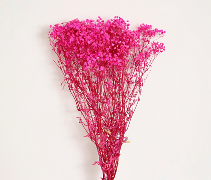Сухоцвет "Гипсофила", длина 70-80 см., 120 гр/упак., розовый.