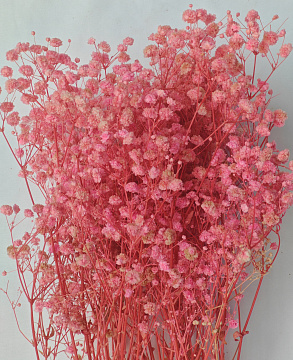 Сухоцвет "Гипсофила", длина 70-80 см, 120 гр/упак. светло-розовый.