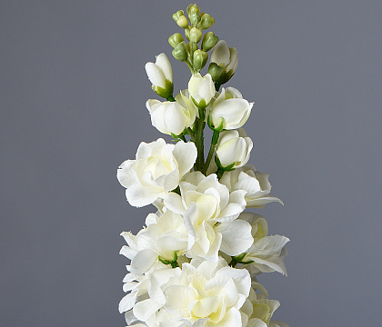 Цветок искусственный декоративный "Маттиола" 80 см, 1 шт., белый