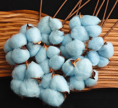 Сухоцвет "Хлопок" 10 шт./упак. насыщенно-голубой