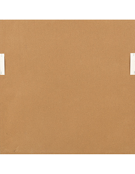 Набор постеров "Грасс" 2 шт., с глянцевым покрытием, рама пластиковая со стеклом, 60,6x60,6x5