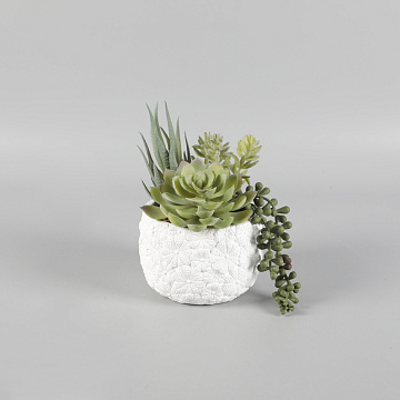 Искусственное растение "Суккулент" в керамическом горшке, 15*15см.