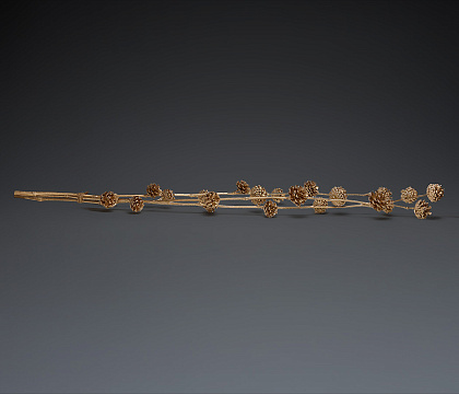 Декоративная бамбуковая ветка с шишками 3-5 см ( 24 шт), 120см, золотой глиттер