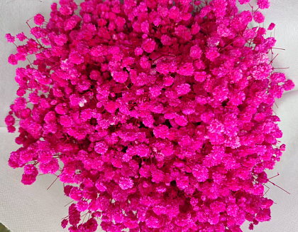 Сухоцвет "Гипсофила", длина 70-80 см, 120 гр/упак. насыщенный розовый.