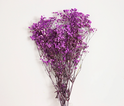Сухоцвет "Гипсофила", длина 70-80 см., 120 гр/упак., лиловый.