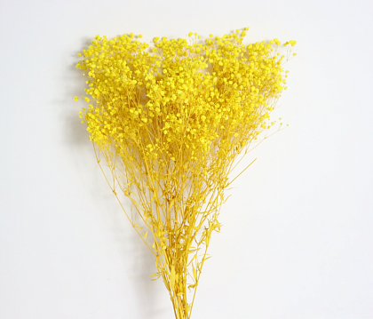Сухоцвет "Гипсофила", длина 70-80 см., 120 гр/упак., желтый.