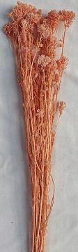 Сухоцвет "Рисовый цветок (Диосми)", длина 60-70 см, 3-5 веток/упак., 80 гр, выбеленн.св.розовый