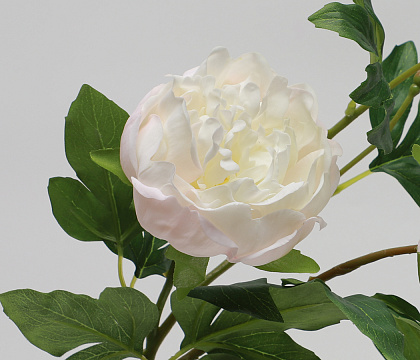 Цветок искусственный декоративный "Пион", 80 см., кремовый