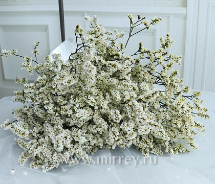  Сухоцвет "Каспия лавандовая", длина 60-70 см, 3-5 шт/упак.белый