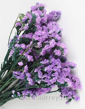  Сухоцвет "Статица", 120 гр/упак., лавандовый