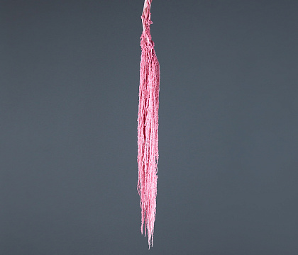 Сухоцвет "Амарантус", длина 70-100 см, розовый