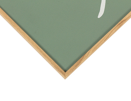 Набор постеров "Гербарий" 2 шт., рама пластиковая, 40,6x30,6x3