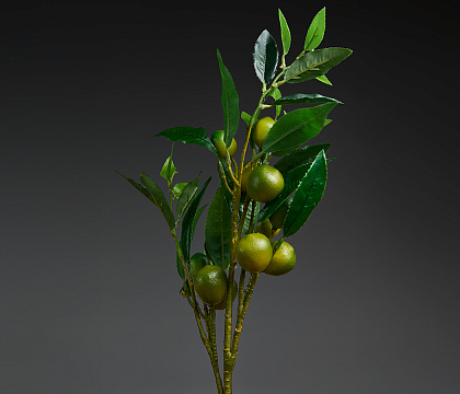 Ветка декоративная с плодами Лимона и листьями (плоды D4-6 шт, плоды D3,5-6 шт) 55 см, 1 шт, зеленый