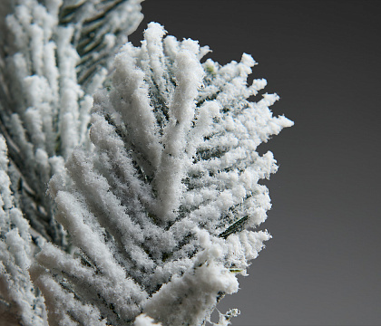 Декоративная новогодняя ветка заснеженная, 24 см