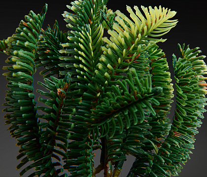 Связка веток декоративная  28 см,  3 шт.