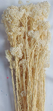 Сухоцвет "Рисовый цветок (Диосми)", длина 60-70 см, 3-5 веток/упак., 80 гр, выбеленн.белый