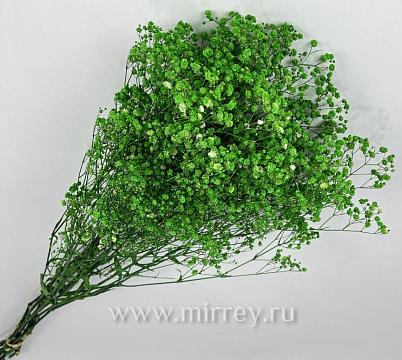 Сухоцвет "Гипсофила", длина 70-80 см, 120 гр/упак., насыщенный зеленый.