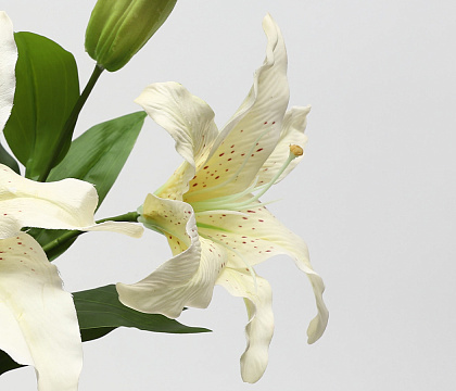 Цветок искусственный декоративный "Лилия", H93*D25 см., слоновая кость