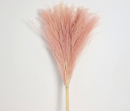 Сухоцвет "Пампасная трава", длина 65 см, длина соцветия 15-45 см, 10 шт., пыльно-розовый