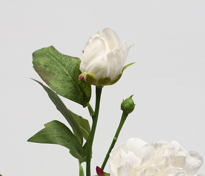 Цветок искусственный декоративный "Пион", 65 см., белый