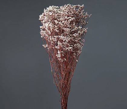 Сухоцвет "Каспия", 120 гр/упак., молочный