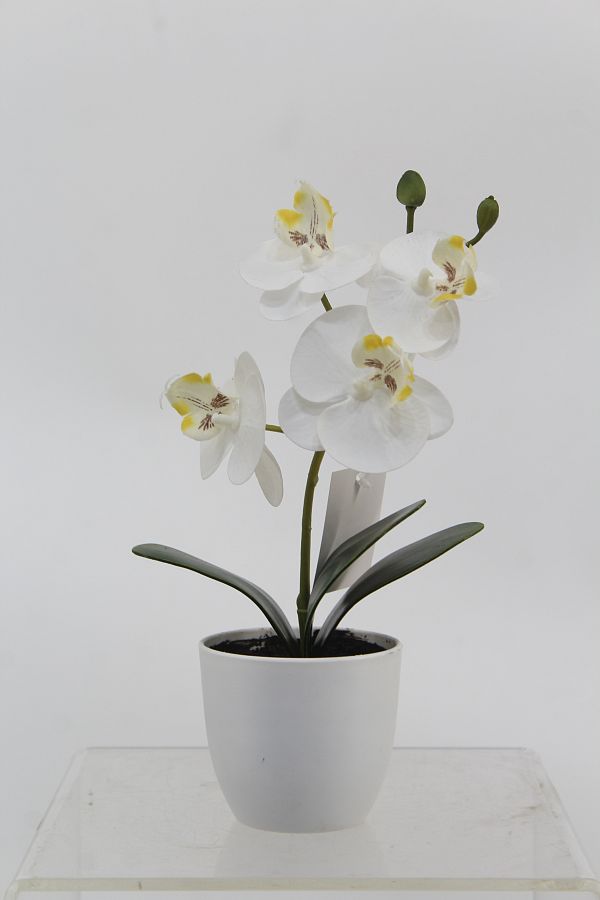Искусственная орхидея в пластиковом горшке, H23 см, цвет белый, количество соцветий 1