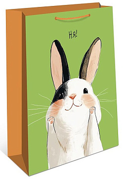 Сумка подарочная, размер: 18х22,3х10 см. в упак. 6 шт.