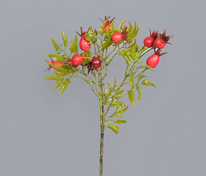 Ветка декоративная с ягодами шиповника D2 см, 48 см, 1 шт.
