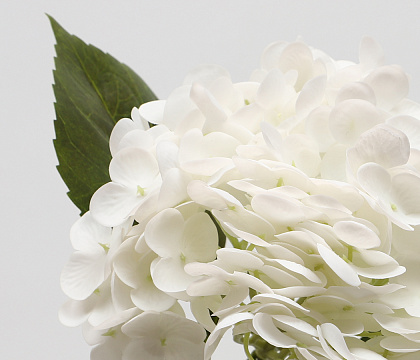 Цветок искусственный декоративный "Гортензия", H55*D20 см., белый
