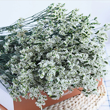 Сухоцвет "Каспия", 65-70 см, 120 гр/упак., белый