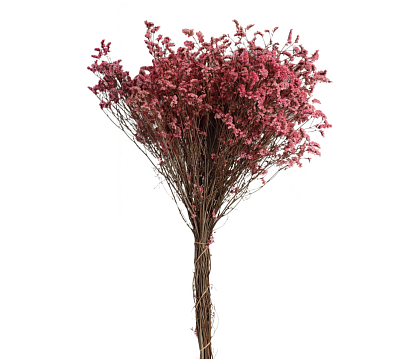 Сухоцвет "Каспия", 120 гр/упак. светло-розовый