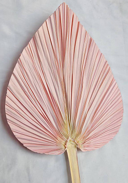 Сухоцвет "Пальмовые листья", длина 35-40 см,1 шт., светло-розовый.