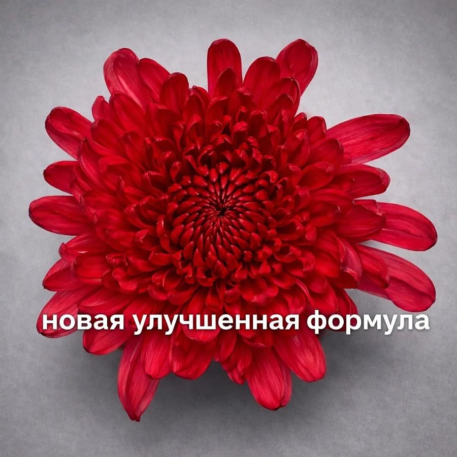 Краска для окрашивания живых цветов, цвет киноварь, #31, 0,300 л.
