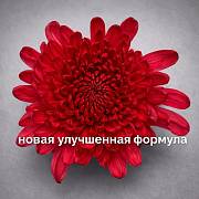 Доп. изображение товара