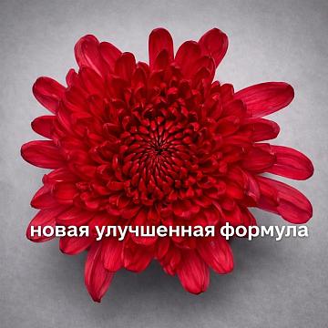 Краска для окрашивания живых цветов, цвет киноварь, #31, 0,300 л.
