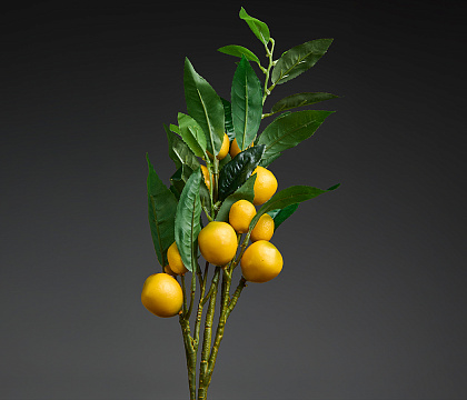 Ветка декоратная с плодами Лимона и листьями (плоды D4-6 шт., плоды D3,5-6 шт.) 55 см, 1 шт, желтый