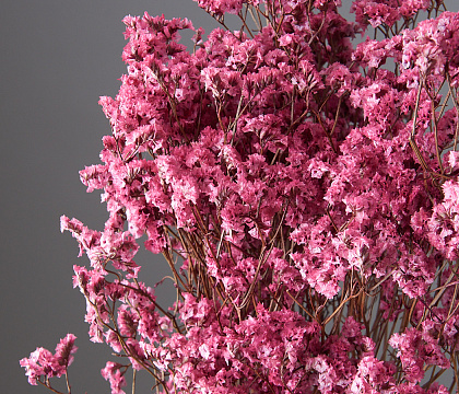 Сухоцвет "Каспия", 120 гр/упак., розовый