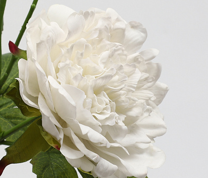 Цветок искусственный декоративный "Пион", 65 см., белый