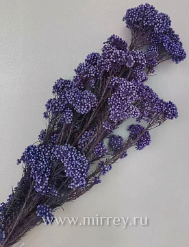 Сухоцвет "Рисовый цветок (Диосми)", длина 60-70 см, 3-5 веток/упак.,100 гр,  фиолетовый