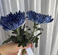 Доп. изображение товара