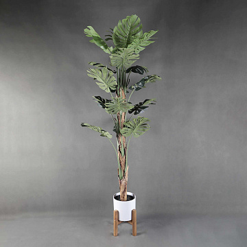 Искусственное растение "Монстера", в керамическом горшке на деревянной подставке, 68,5*200 см.