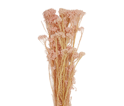 Сухоцвет "Рисовый цветок (Диосми)", длина 60-70 см, 3-5 веток/упак.,100 гр, выбеленный светло-розовый