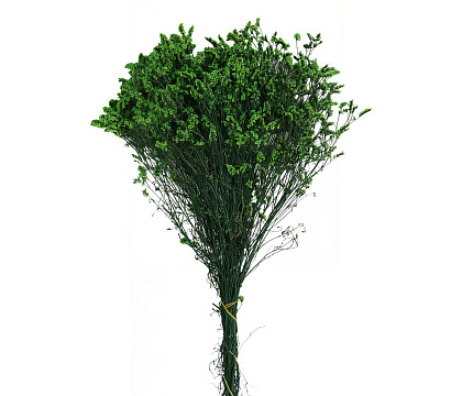 Сухоцвет "Каспия", 120 гр/упак. зеленый