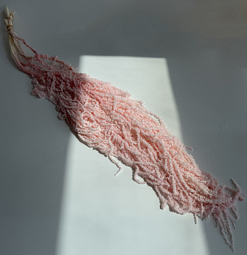 Сухоцвет "Амарантус", длина 70-100 см, выбеленный розовый