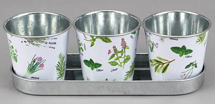 Набор декоративных кашпо на подносе "Мильфлер" кашпо: 6,5XH6CM, поднос:19X6.5XH1.5CM, металл