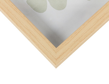 Набор постеров "Грасс" 2 шт., с глянцевым покрытием, рама пластиковая со стеклом, 60,6x60,6x5