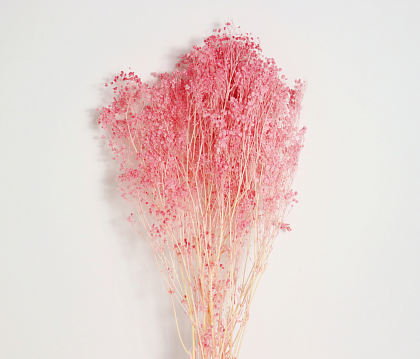 Сухоцвет "Гипсофила", длина 70-80 см., 120 гр/упак., выбеленный розовый.